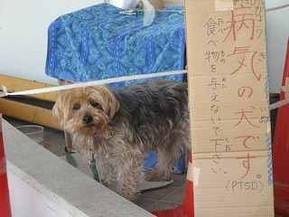 s-IMG_1468.jpg